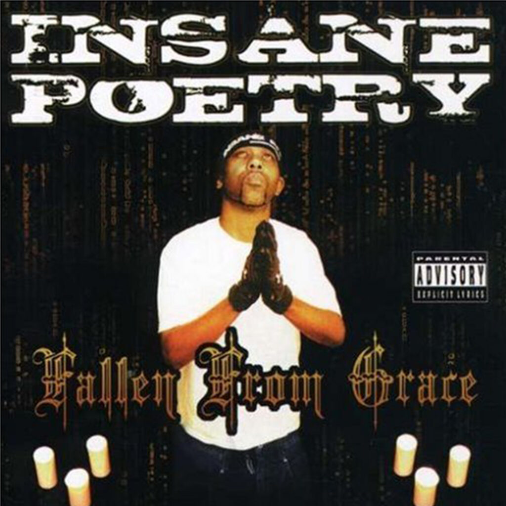 Insane Poetry - Fallen From Grace Album Cover