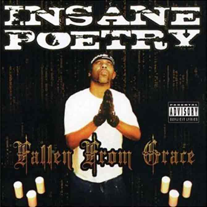 Insane Poetry: Fallen From Grace